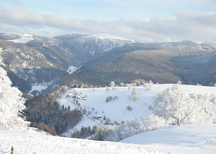 Sport Rees - Pia Daire