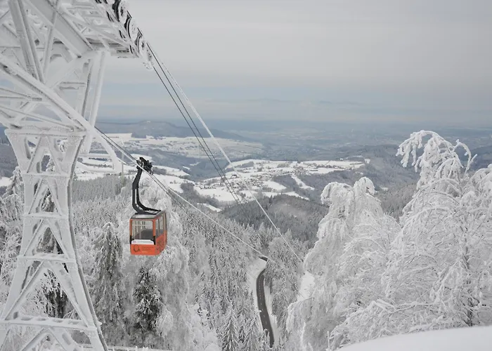 Daire Sport Rees - Pia Hofsgrund