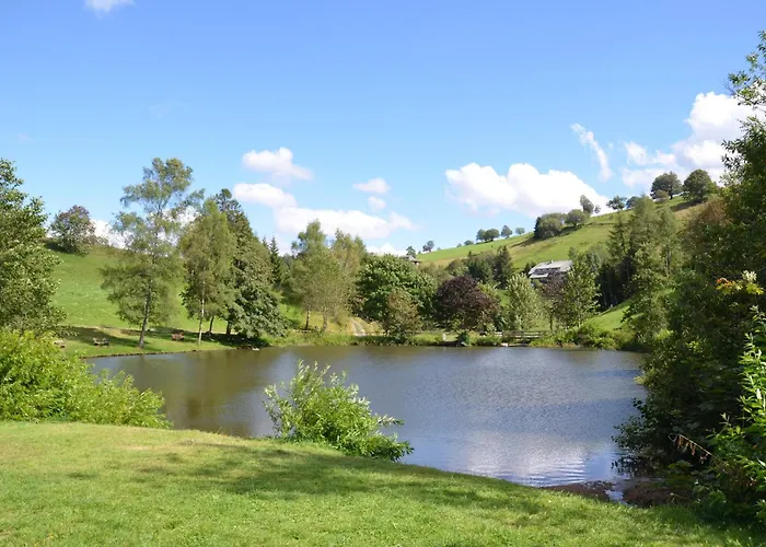 Sport Rees - Pia * Hofsgrund