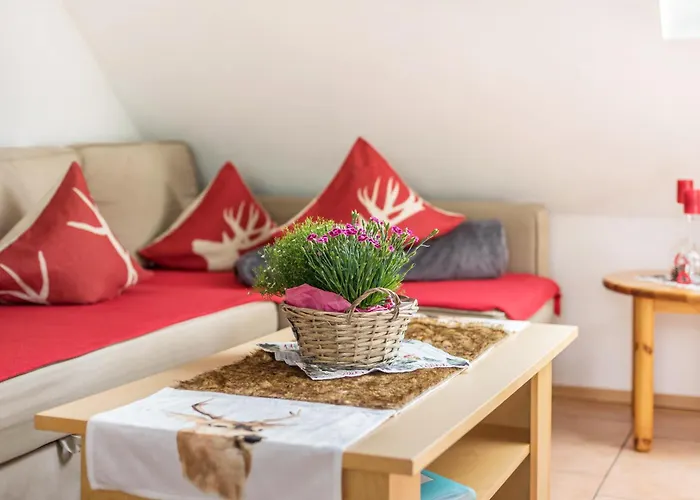 Sport Rees - Pia * Hofsgrund