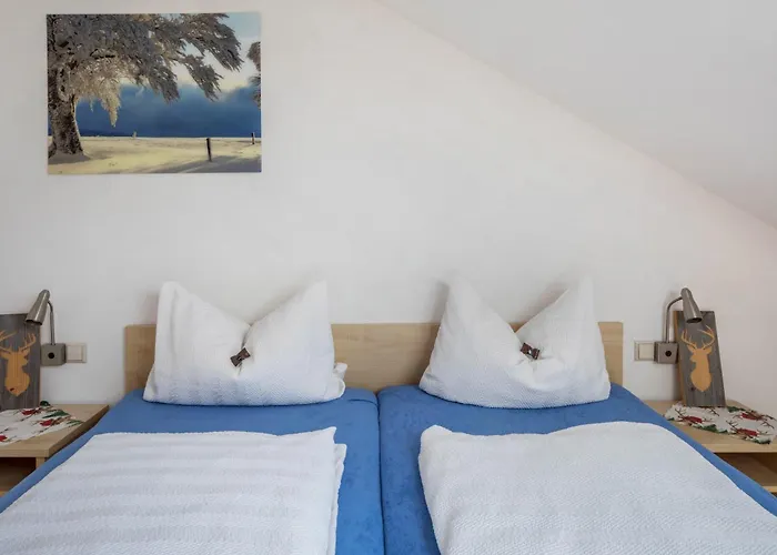 Daire Sport Rees - Pia *