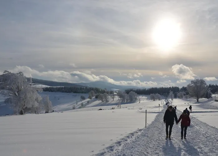 Daire Sport Rees - Pia